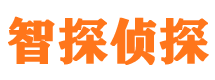 西林外遇调查取证